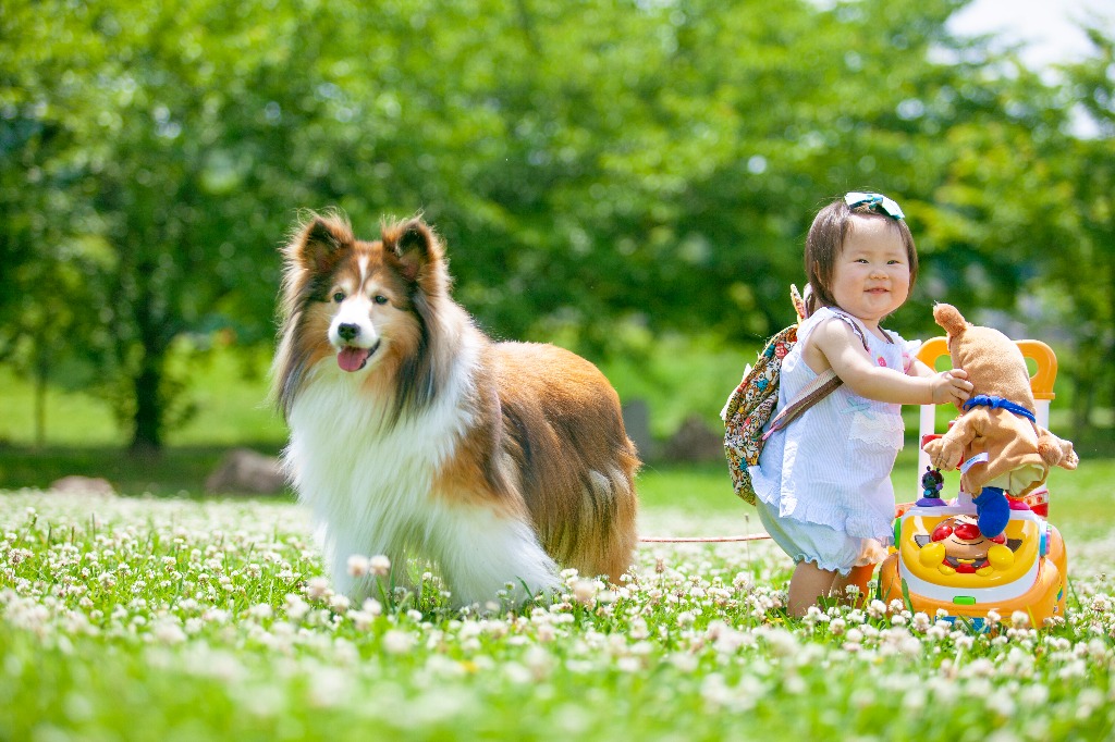 ありのままの自然な姿を撮影